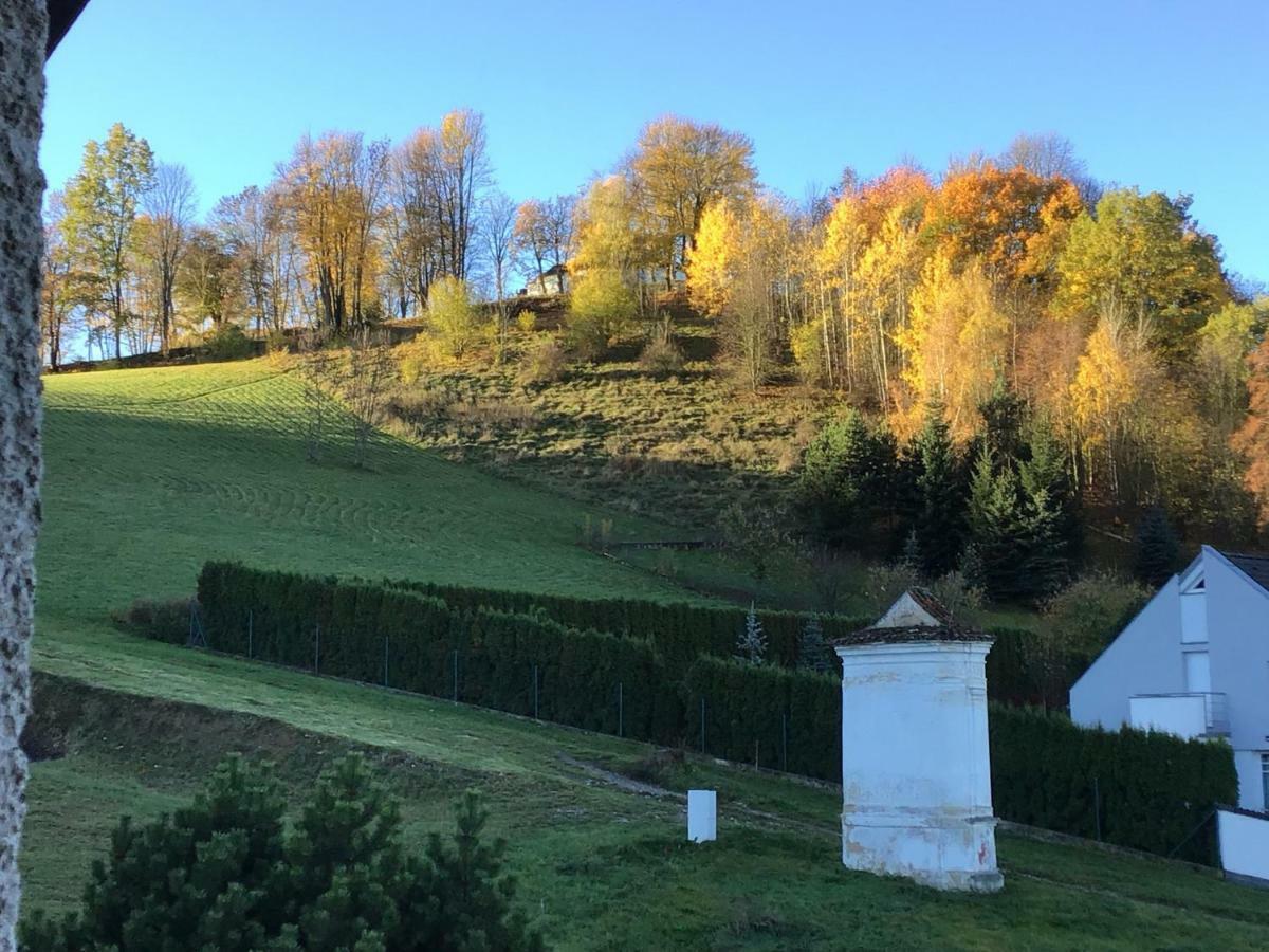 Apartman Castle View Czeski Krumlow Zewnętrze zdjęcie